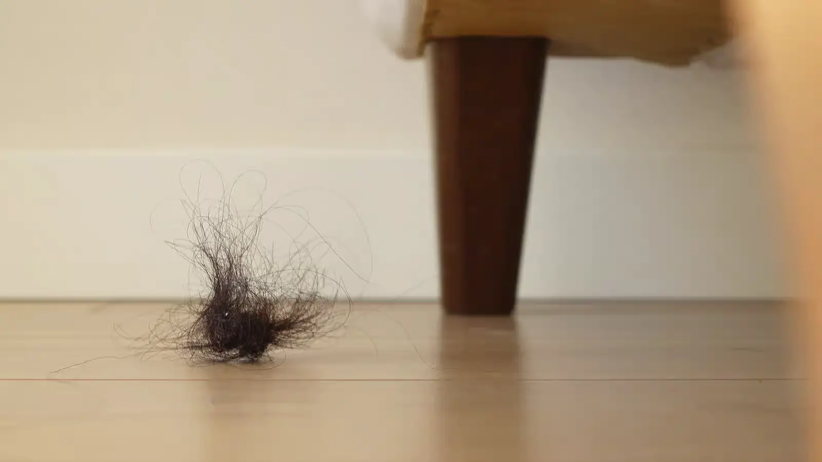 Breakage vs Shedding, GlamorChiQ Memphis TN